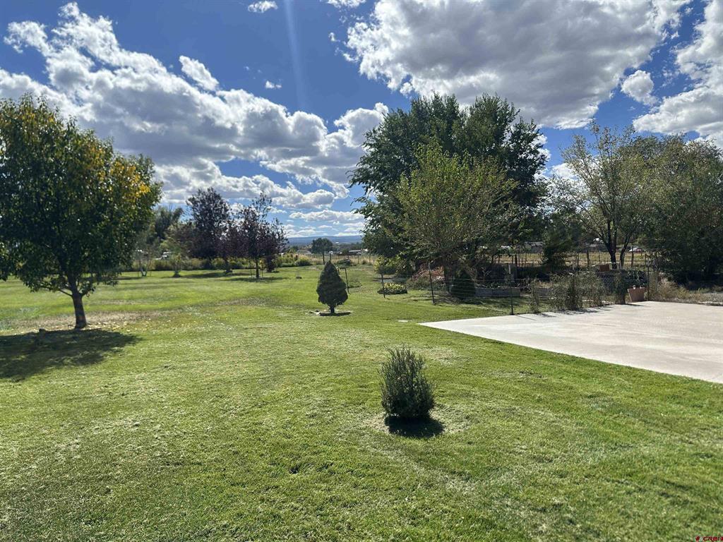 644 Orchard Road Montrose CO 81403