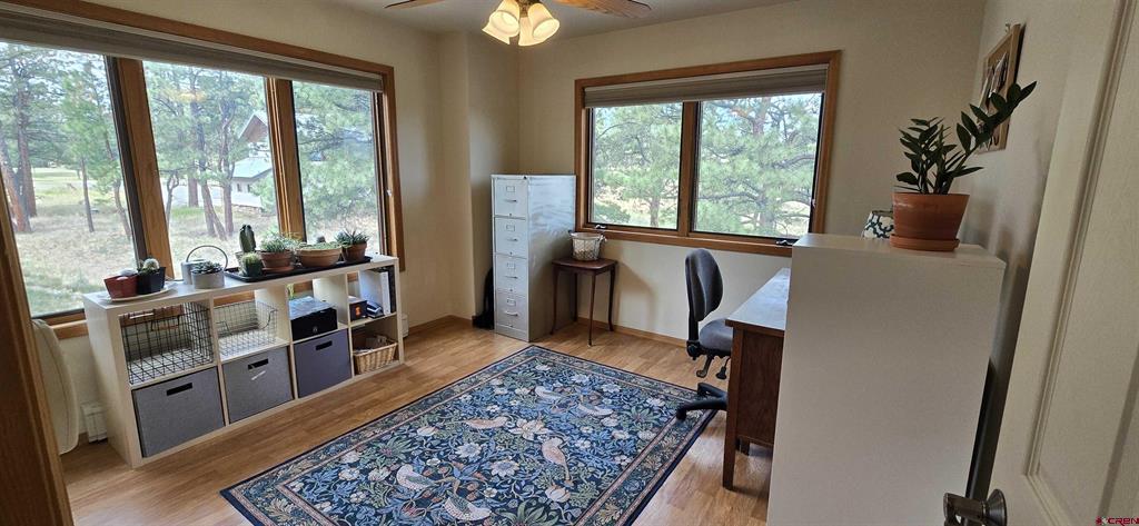 557 Bear Cub Drive Ridgway CO 81432