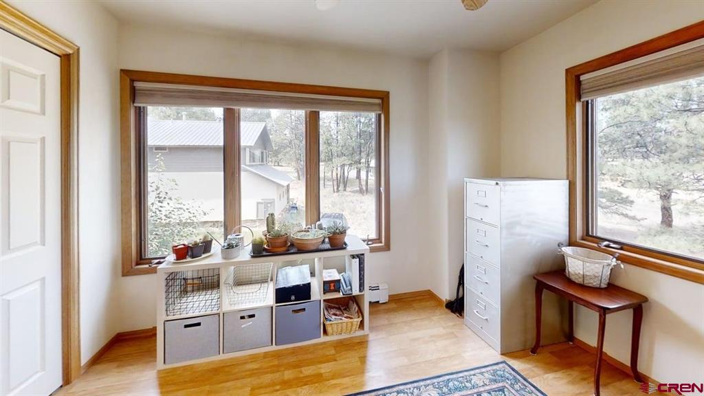 557 Bear Cub Drive Ridgway CO 81432