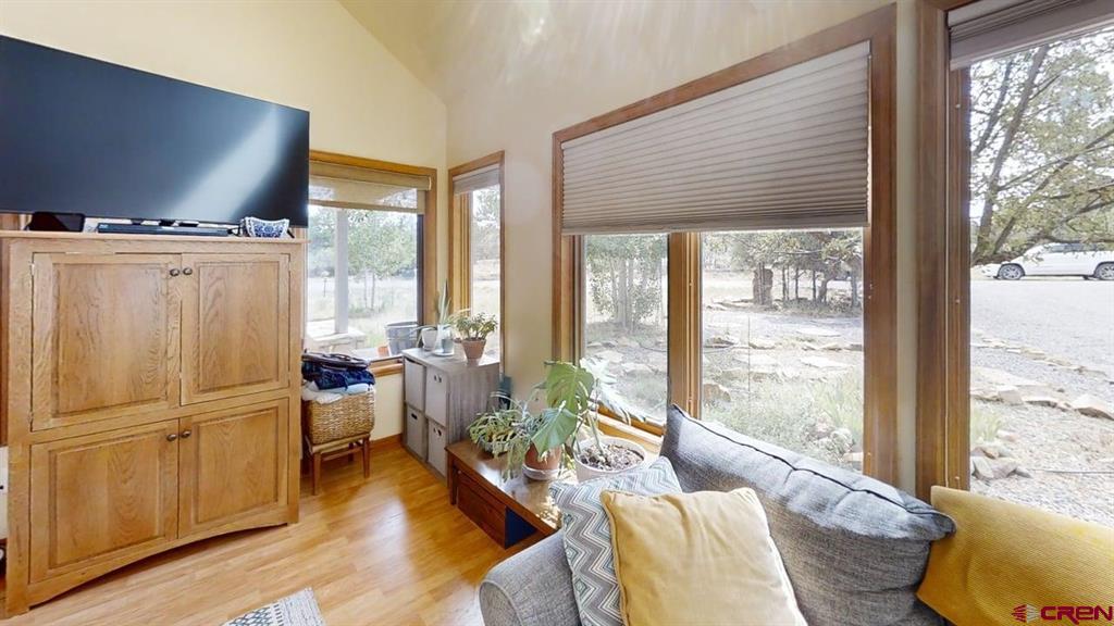 557 Bear Cub Drive Ridgway CO 81432