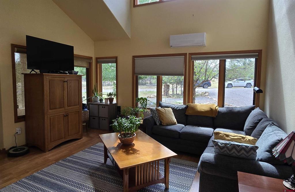 557 Bear Cub Drive Ridgway CO 81432