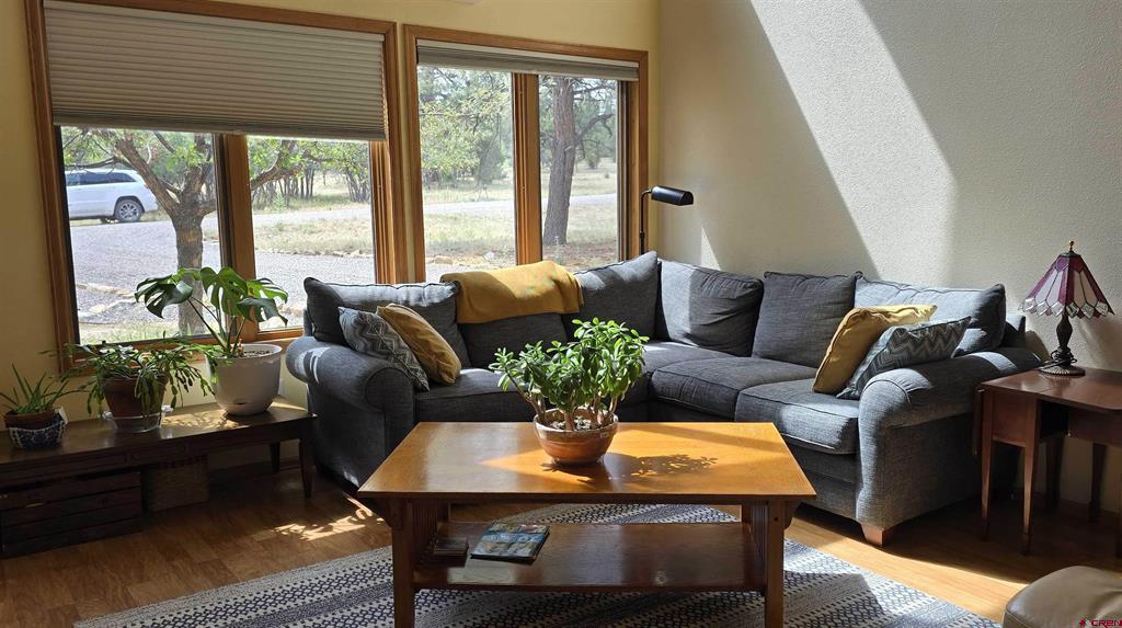 557 Bear Cub Drive Ridgway CO 81432