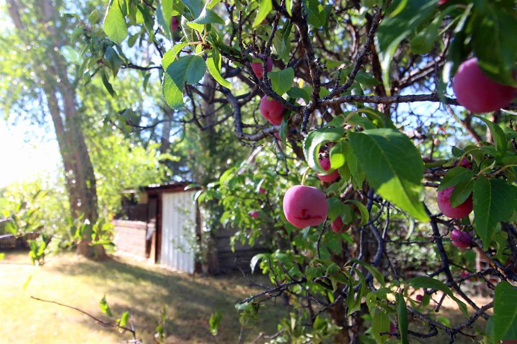 304 S Walnut Street Mancos CO 81328