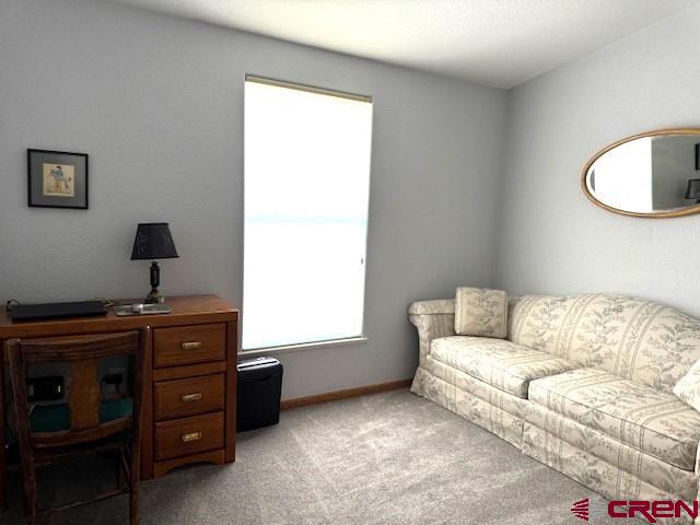 802 Bluffs Boulevard Cortez CO 81321