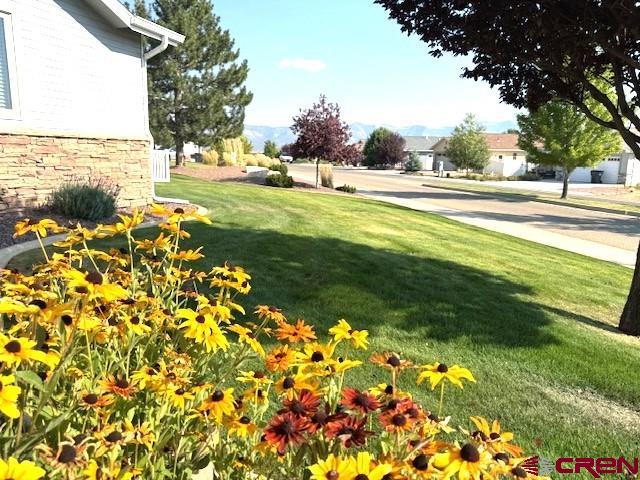 802 Bluffs Boulevard Cortez CO 81321
