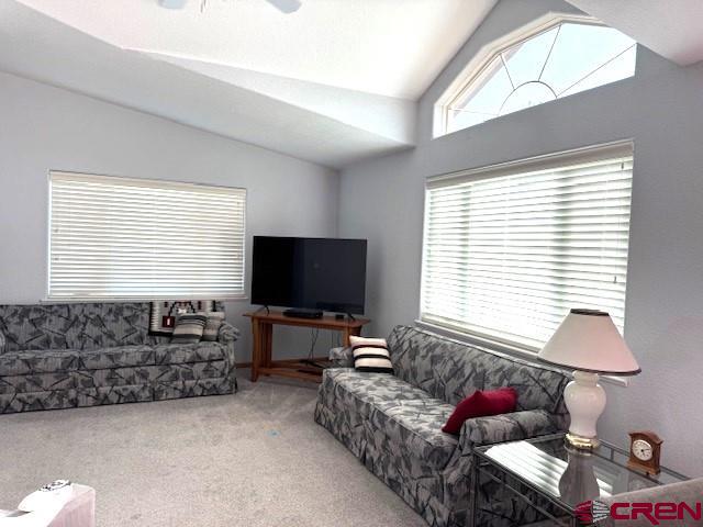 802 Bluffs Boulevard Cortez CO 81321