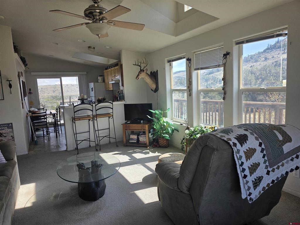 596 Antelope Trail Del Norte CO 81132