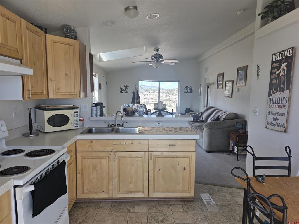 596 Antelope Trail Del Norte CO 81132