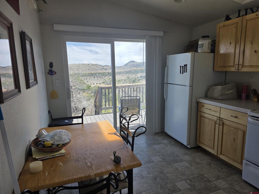 596 Antelope Trail Del Norte CO 81132