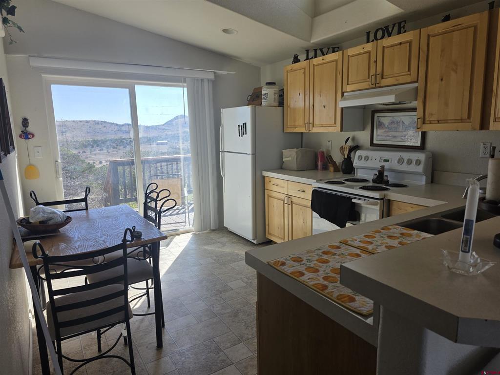596 Antelope Trail Del Norte CO 81132