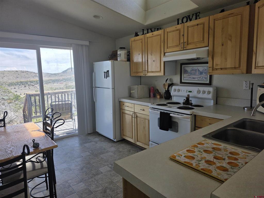 596 Antelope Trail Del Norte CO 81132