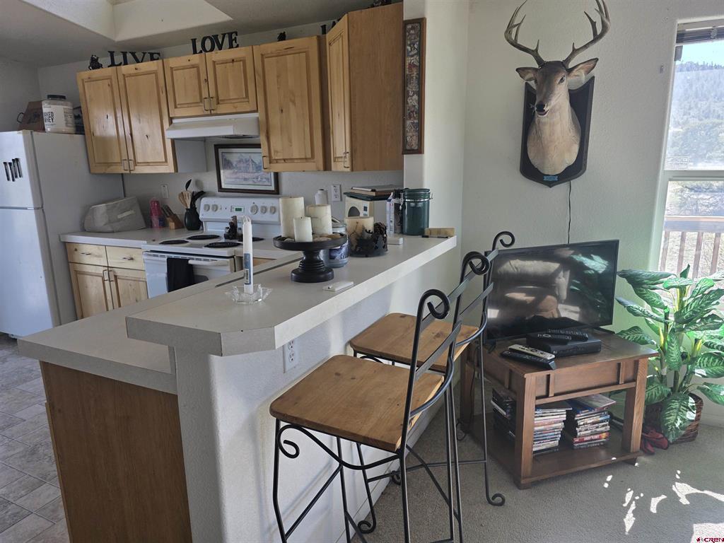 596 Antelope Trail Del Norte CO 81132