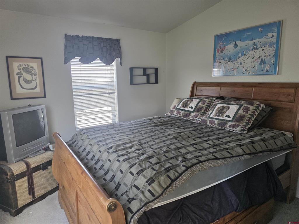 596 Antelope Trail Del Norte CO 81132