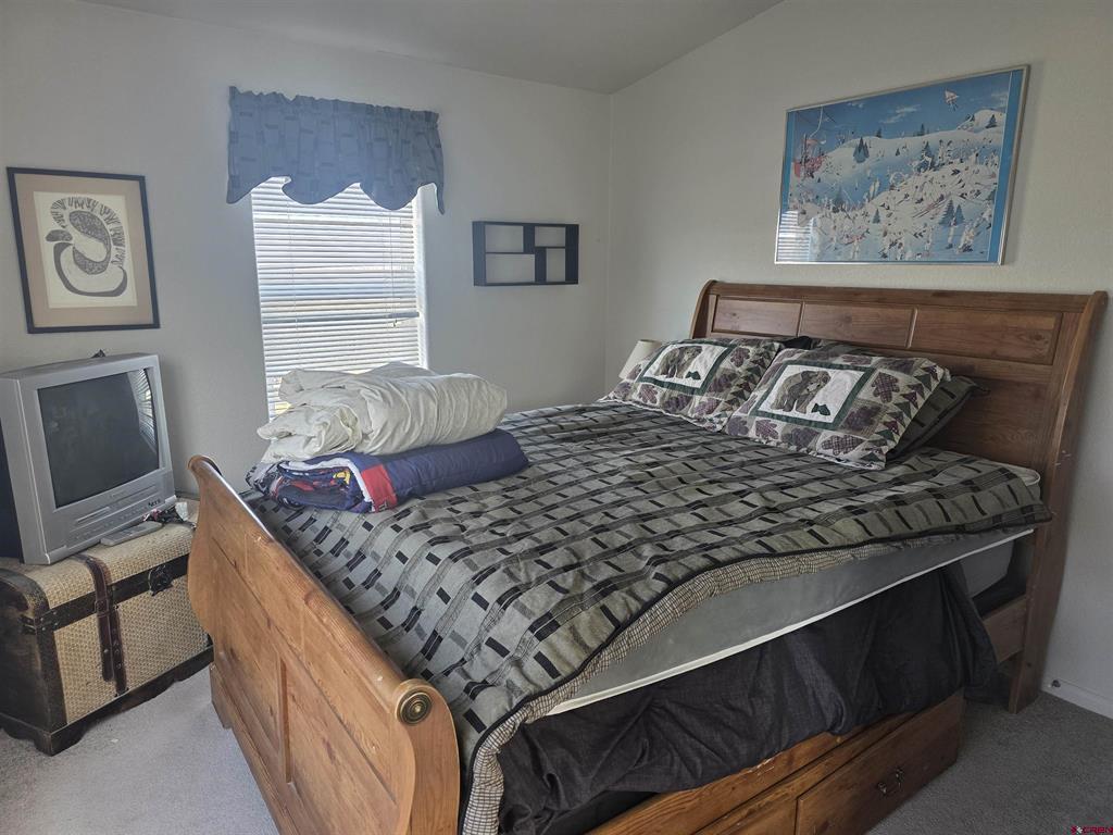 596 Antelope Trail Del Norte CO 81132