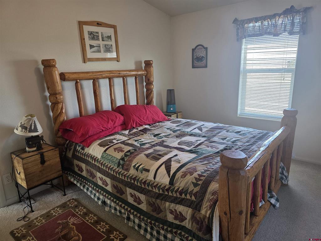 596 Antelope Trail Del Norte CO 81132