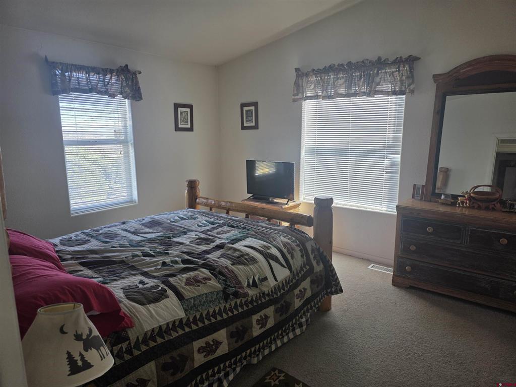 596 Antelope Trail Del Norte CO 81132
