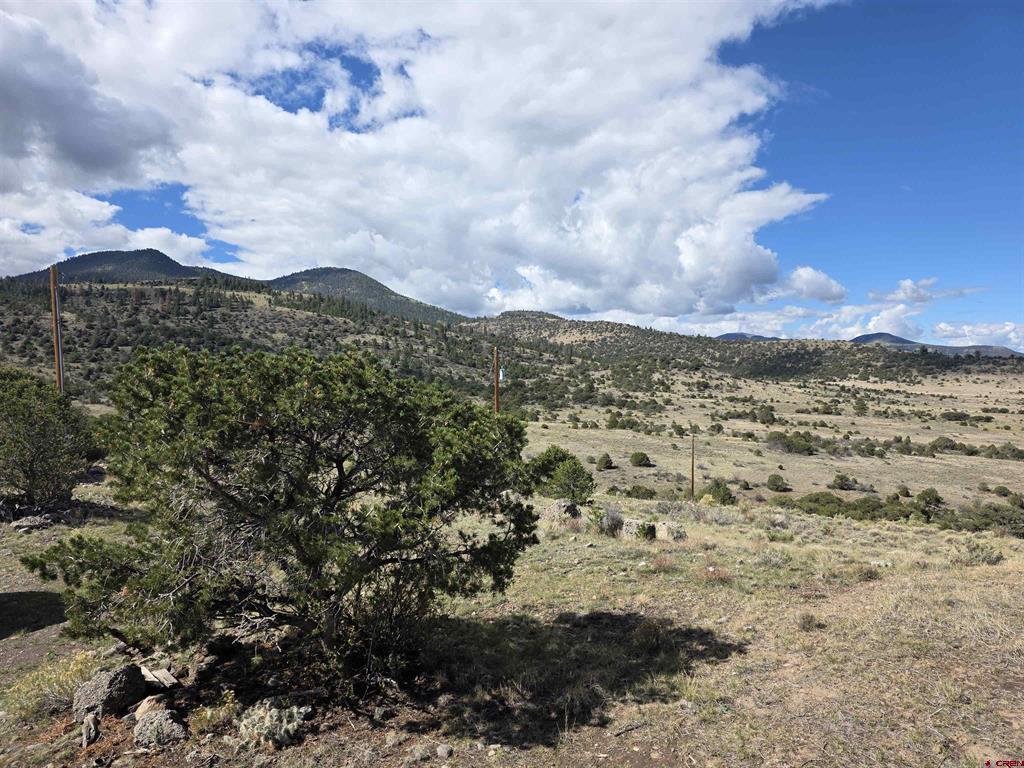 596 Antelope Trail Del Norte CO 81132