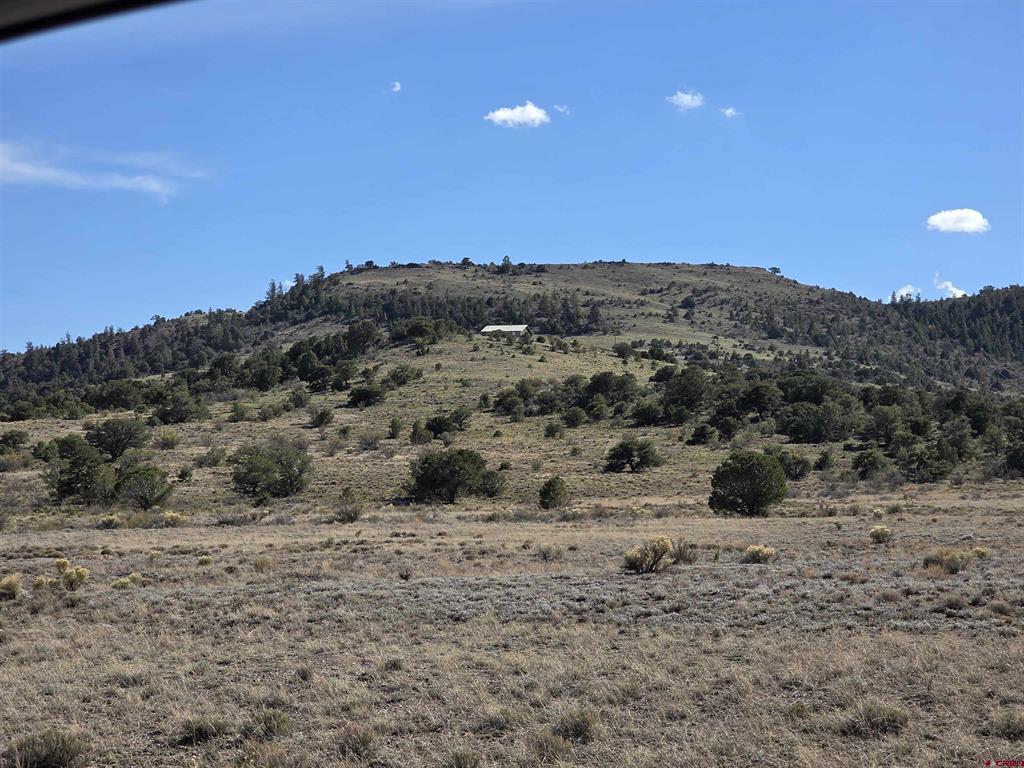 596 Antelope Trail Del Norte CO 81132