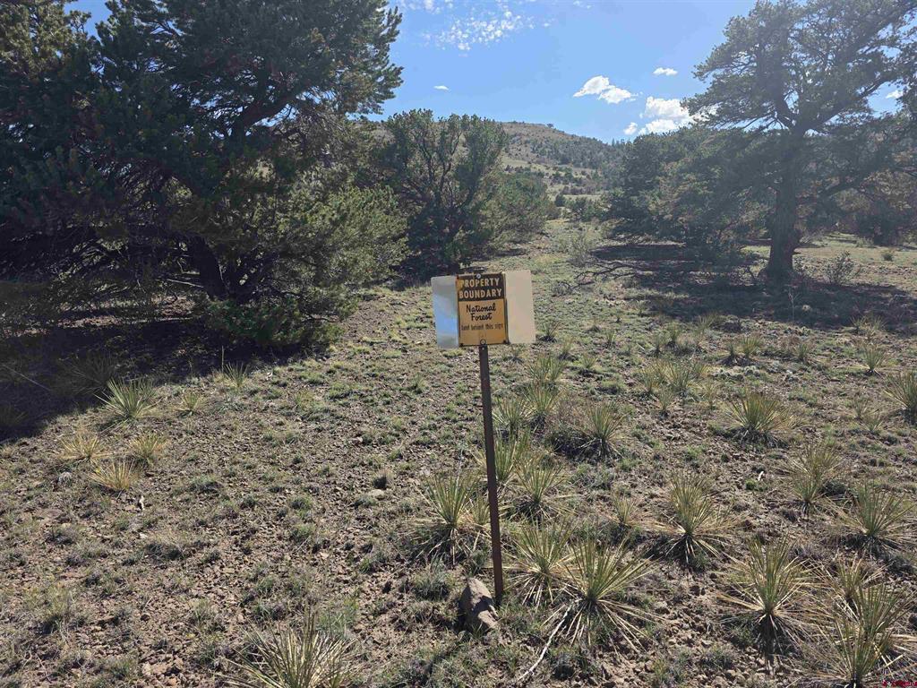 596 Antelope Trail Del Norte CO 81132