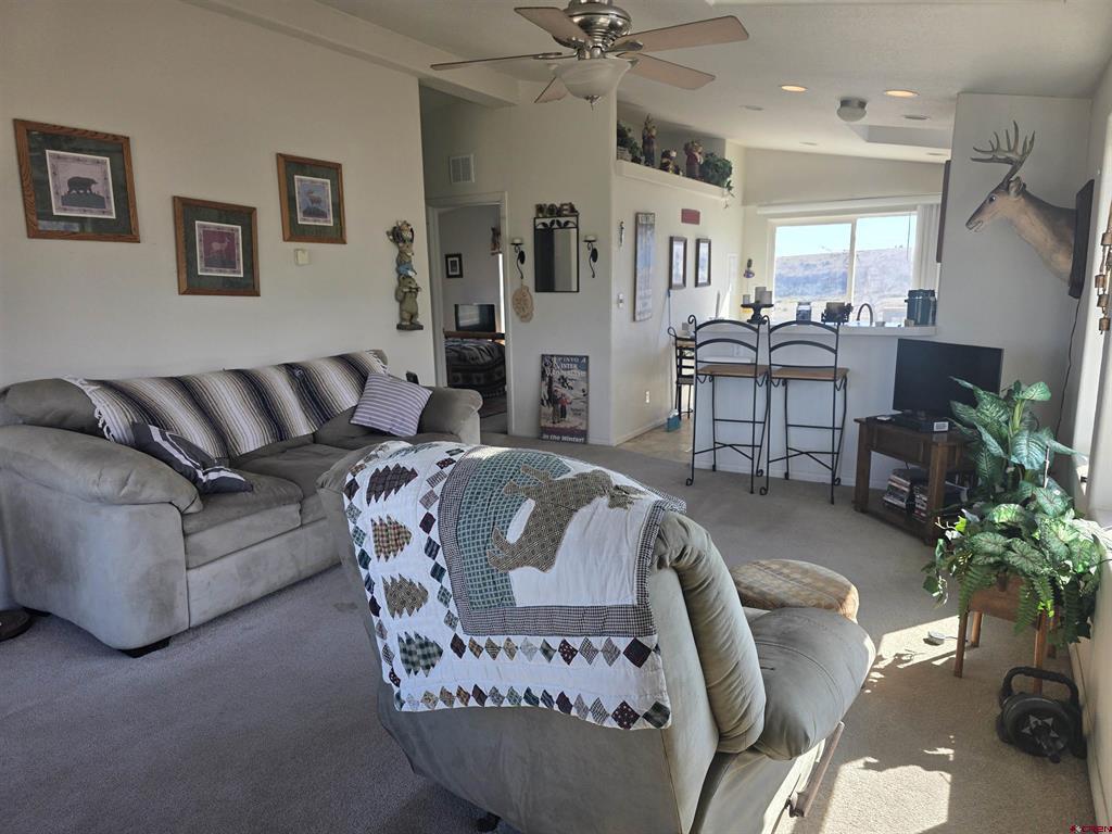 596 Antelope Trail Del Norte CO 81132