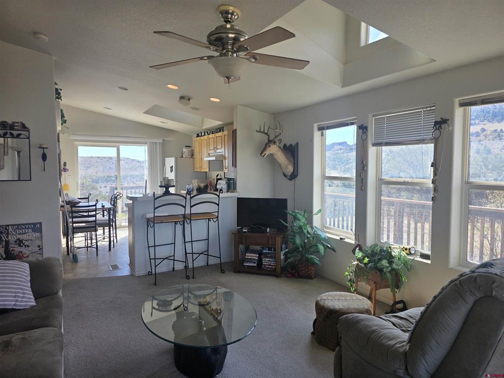 596 Antelope Trail Del Norte CO 81132