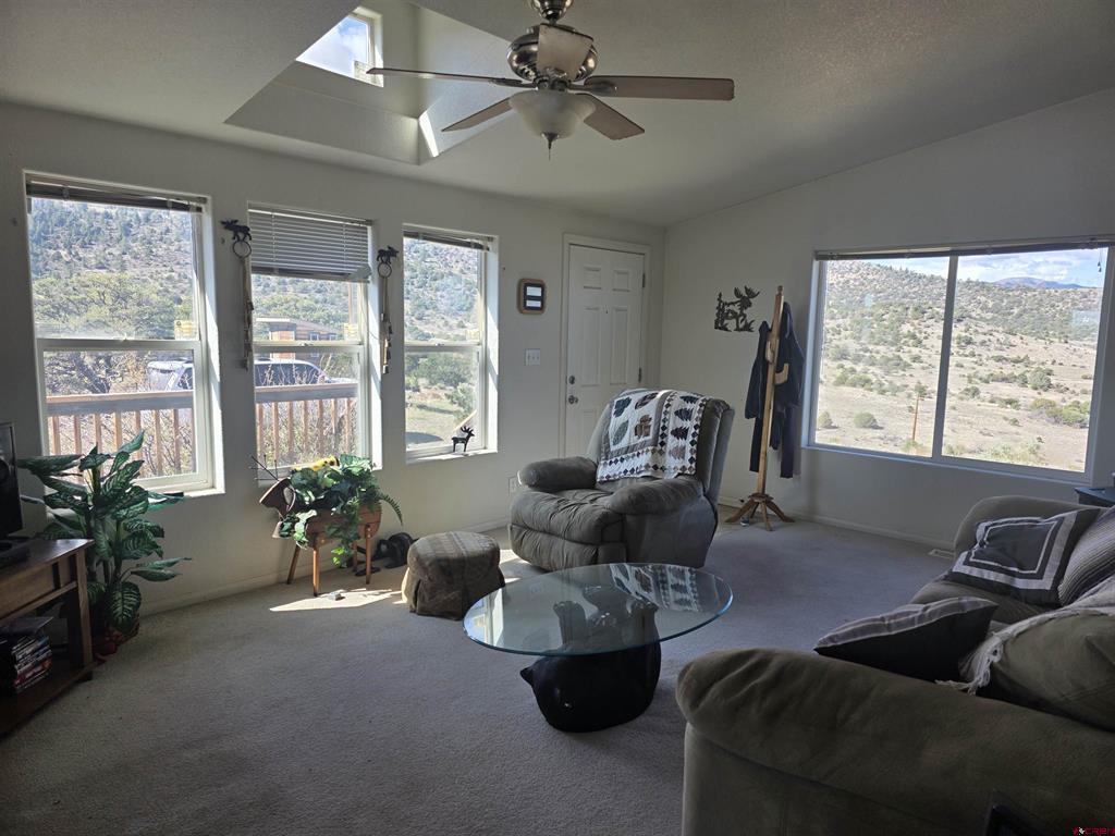 596 Antelope Trail Del Norte CO 81132