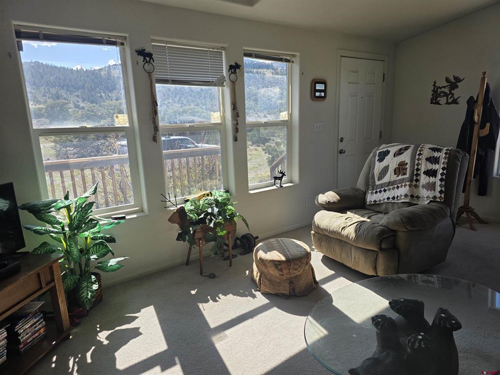 596 Antelope Trail Del Norte CO 81132