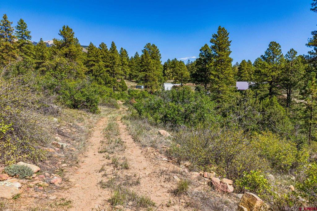 3421 Highway 160 Hesperus CO 81328