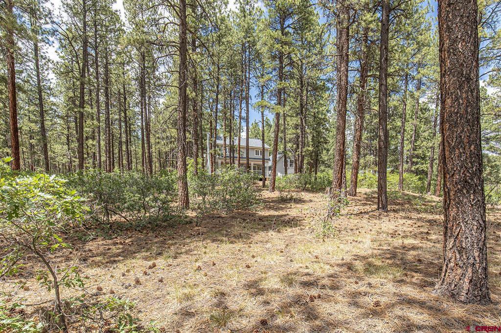 383 Eagle Pass Durango CO 81301