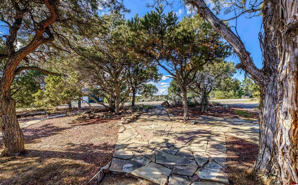 23544 V66 Trail Montrose CO 81401
