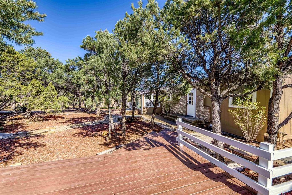 23544 V66 Trail Montrose CO 81401