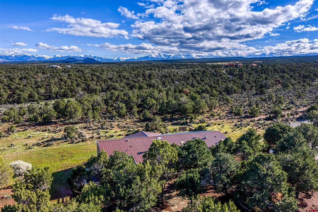 23544 V66 Trail Montrose CO 81401