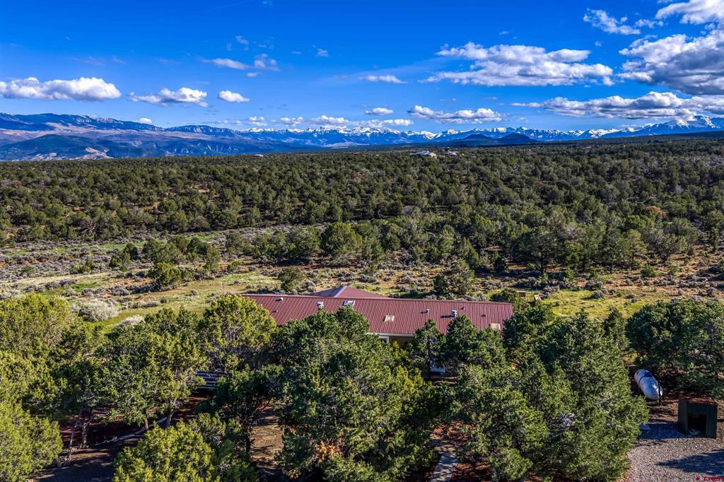 23544 V66 Trail Montrose CO 81401
