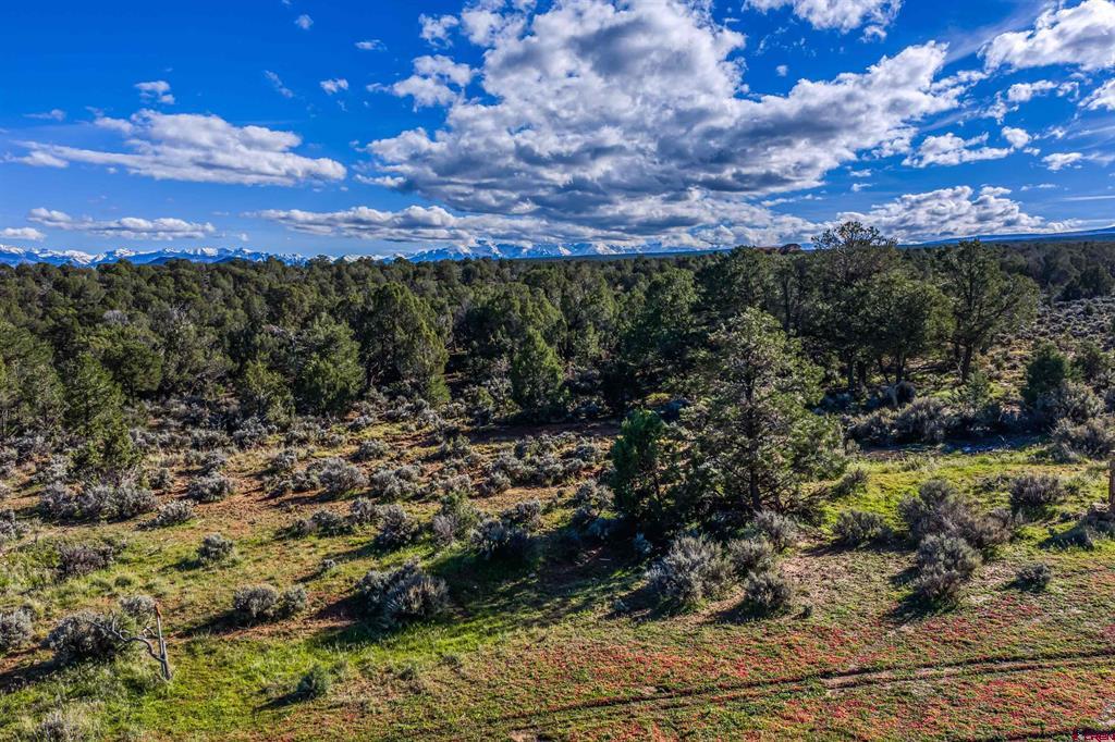 23544 V66 Trail Montrose CO 81401