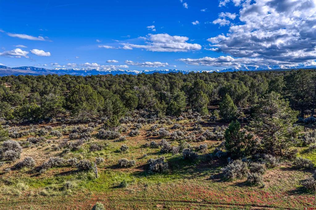 23544 V66 Trail Montrose CO 81401