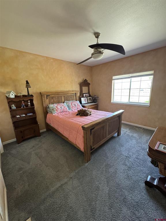 11611 Joyful Way Montrose CO 81401