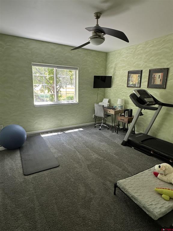 11611 Joyful Way Montrose CO 81401