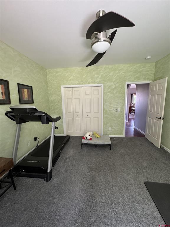 11611 Joyful Way Montrose CO 81401