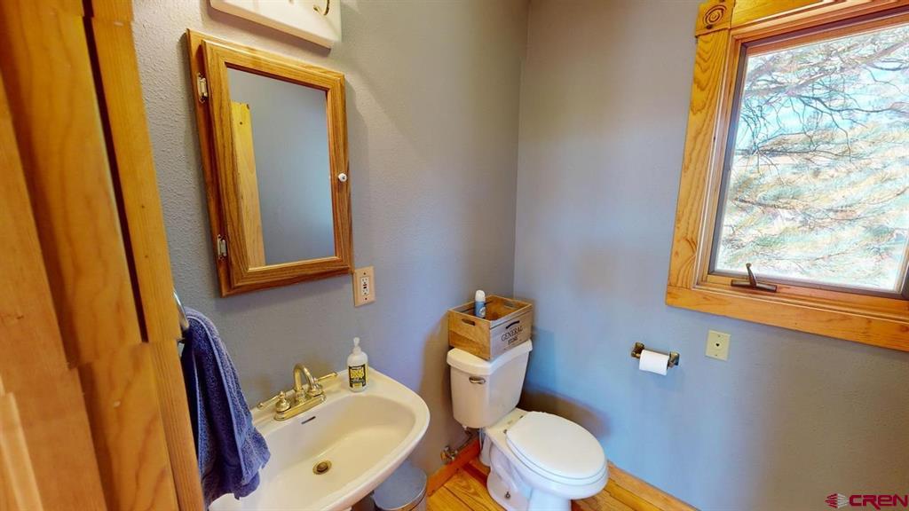 1872 San Juan Springs Drive Lake City CO 81235