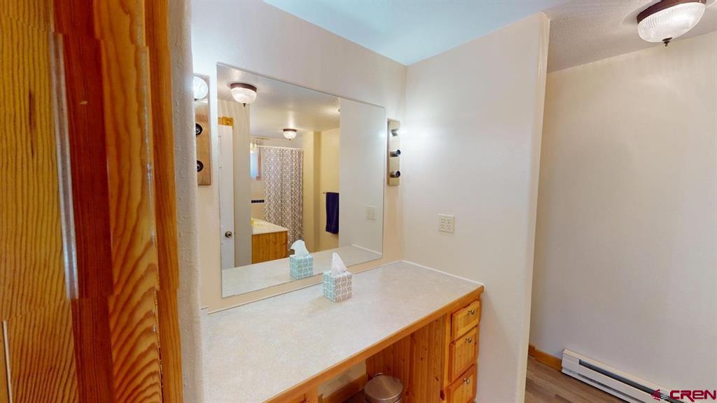 1872 San Juan Springs Drive Lake City CO 81235