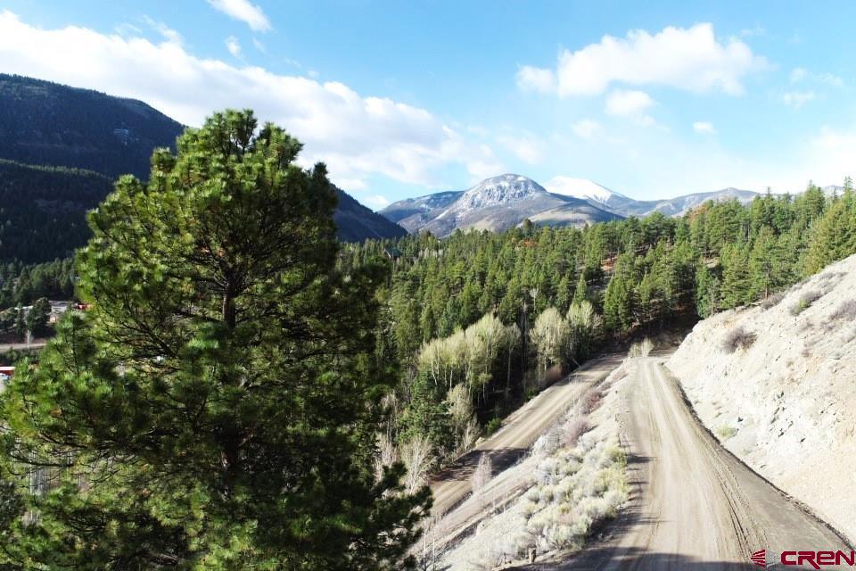 1872 San Juan Springs Drive Lake City CO 81235