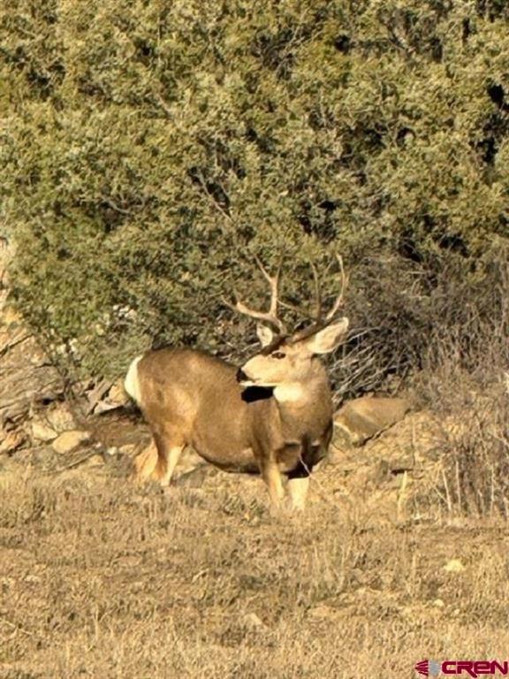 28575 County Road 500 Pagosa Springs CO 81147