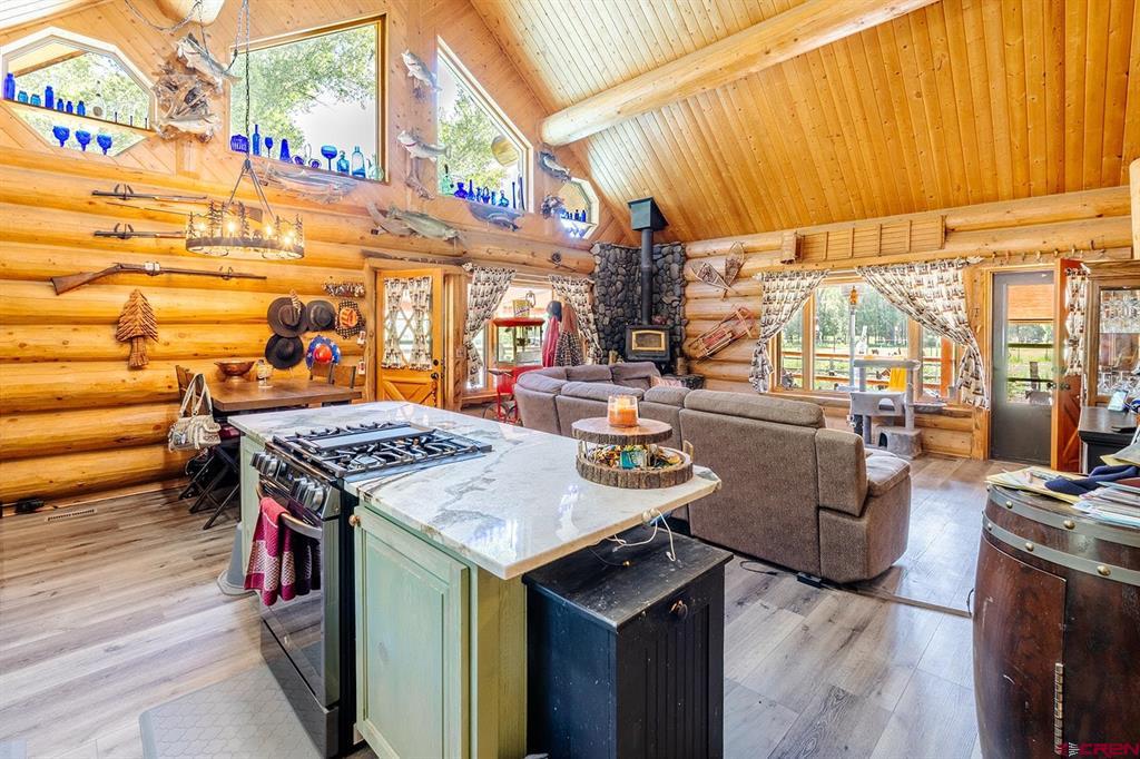 28575 County Road 500 Pagosa Springs CO 81147