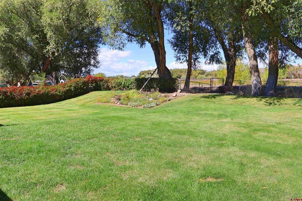 6 Bellwood Drive Alamosa CO 81101