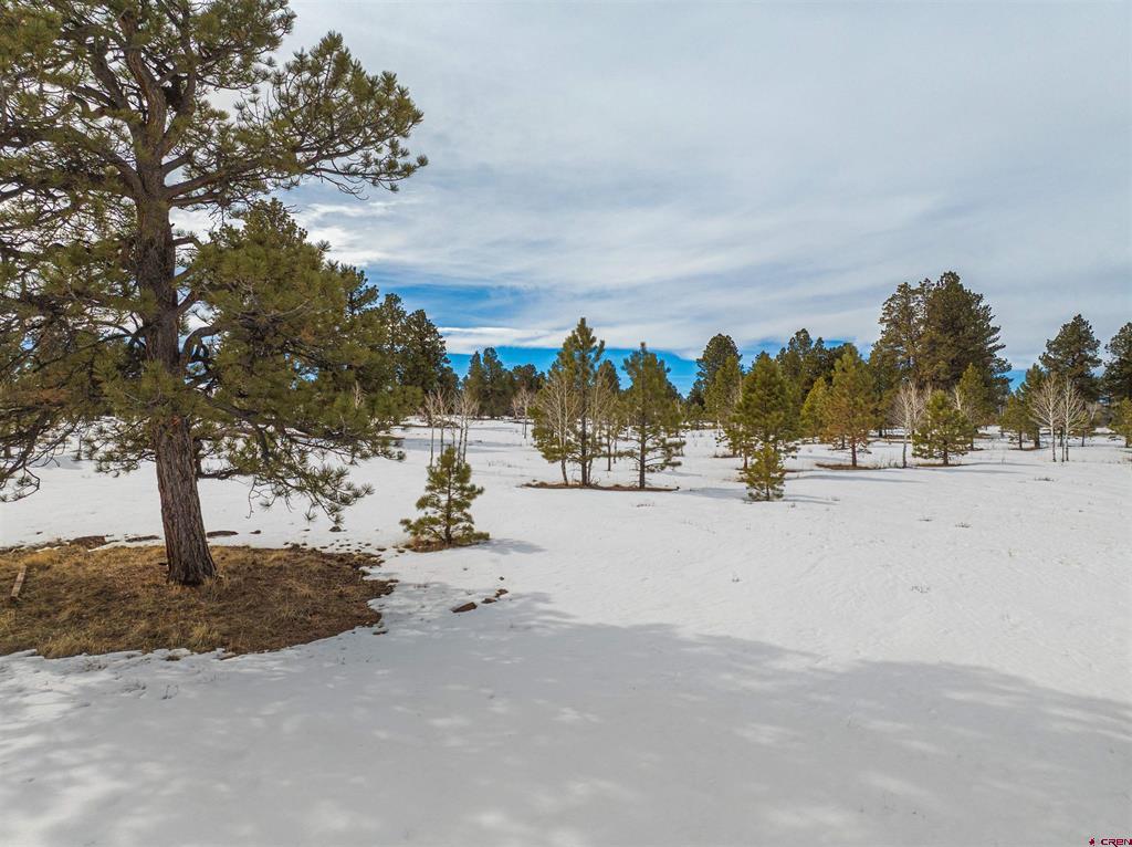 56490 Ii Road Montrose CO 81403