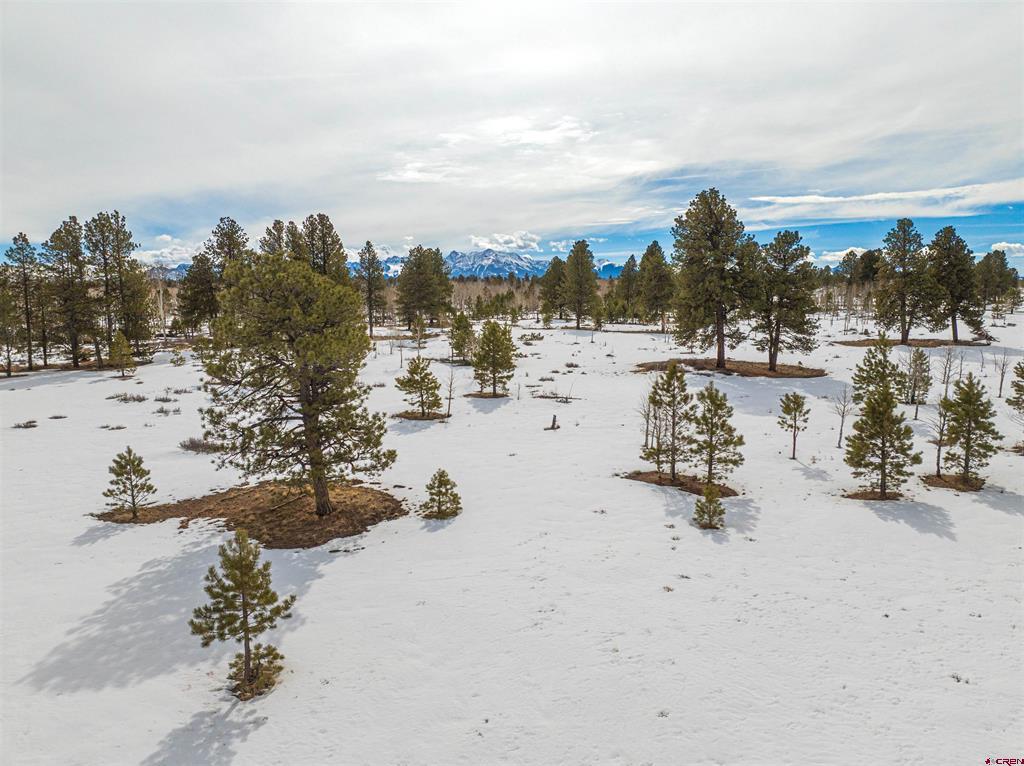 56490 Ii Road Montrose CO 81403