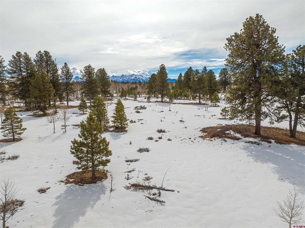 56490 Ii Road Montrose CO 81403