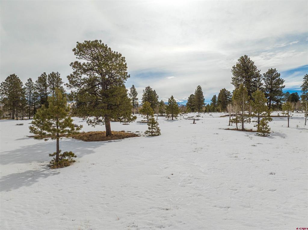 56490 Ii Road Montrose CO 81403