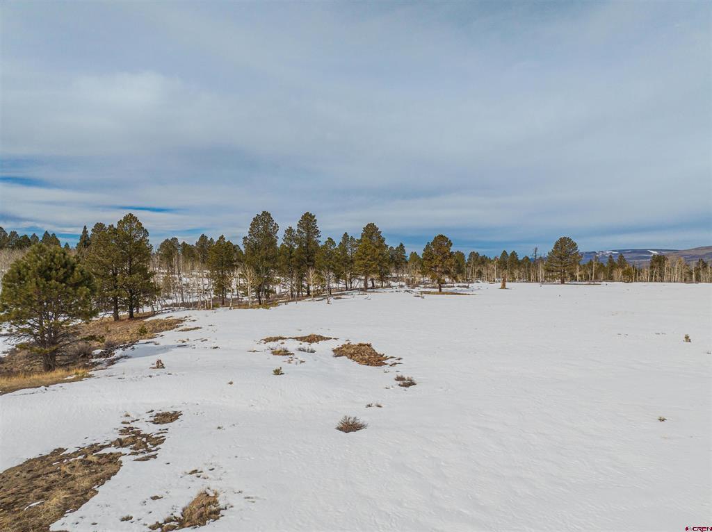 56490 Ii Road Montrose CO 81403