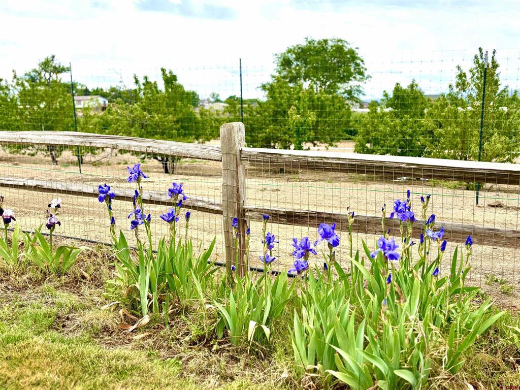 12689 6100 Road Montrose CO 81401